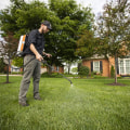 How Hiring Professionals for Landscaping and Tree Services Can Lead to Long-Term Cost Savings
