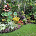 Plant Selection: Choosing the Right Plants for Your Landscape
