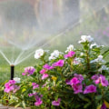 Proper Watering and Fertilization for a Beautiful Outdoor Space