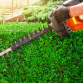 Efficient Use of Equipment and Resources for Landscaping and Tree Services