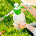 Pest and Disease Control for Garden Services