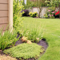 Understanding Local Climate and Soil Conditions for Landscaping and Tree Services