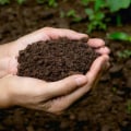 Improving Soil Quality and Plant Health: A Comprehensive Guide