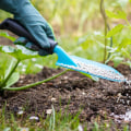 Watering and Fertilizing: Tips for a Healthy Outdoor Space