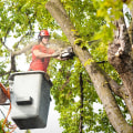 Removing Hazardous or Unwanted Trees: A Comprehensive Guide for Landscaping and Tree Services