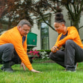 Benefits of Hiring Trained Professionals for Landscaping and Tree Services