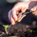 Regular Soil Testing and Amendments: Tips for Maintaining a Healthy Outdoor Space