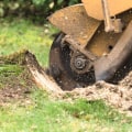 Stump Grinding for Complete Removal: A Comprehensive Guide