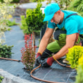 Avoiding Costly Mistakes in Landscaping and Tree Services