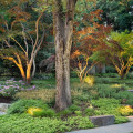 Pruning for a Beautiful and Healthy Outdoor Space