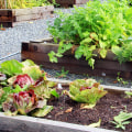 A Guide to Regular Weeding, Pruning, and Fertilizing for a Beautiful Garden