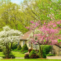 Replanting Options After Tree Removal: How to Maintain Your Outdoor Space