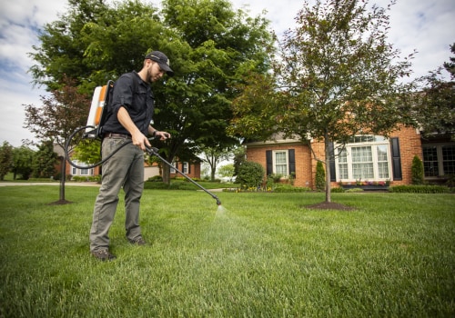 How Hiring Professionals for Landscaping and Tree Services Can Lead to Long-Term Cost Savings