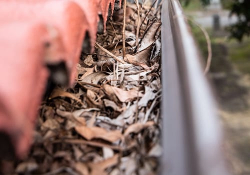 Tree Care and Its Impact on Roofing Performance