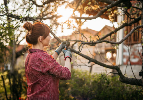 Pruning for Healthy Growth and Shape: The Essential Guide to Keeping Your Trees Beautiful and Strong