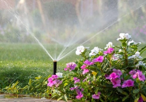 Proper Watering and Fertilization for a Beautiful Outdoor Space