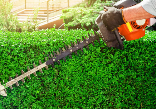 Efficient Use of Equipment and Resources for Landscaping and Tree Services