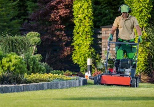 The Importance of Access to Professional Equipment and Materials for Landscaping and Tree Services
