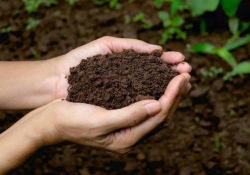 Improving Soil Quality and Plant Health: A Comprehensive Guide