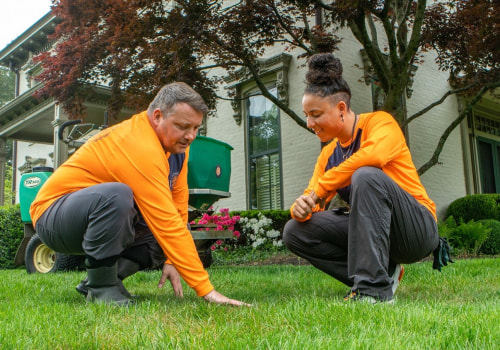 Benefits of Hiring Trained Professionals for Landscaping and Tree Services