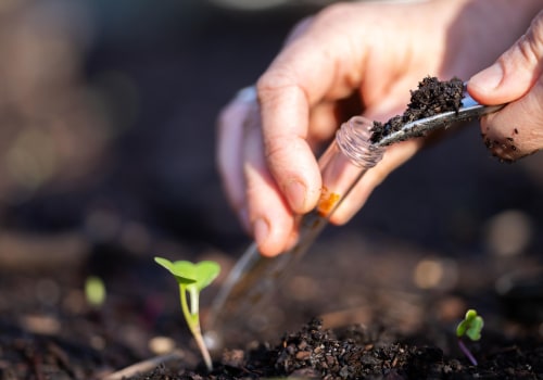 Regular Soil Testing and Amendments: Tips for Maintaining a Healthy Outdoor Space