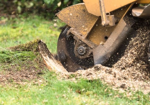Stump Grinding for Complete Removal: A Comprehensive Guide