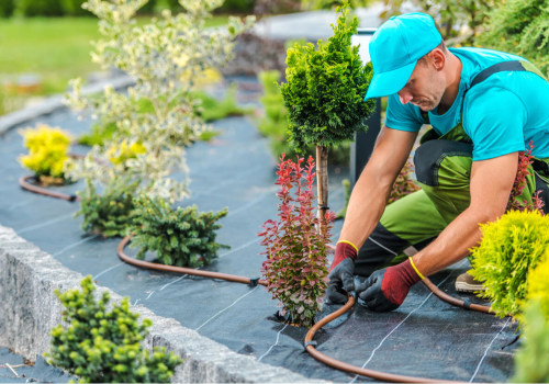 Avoiding Costly Mistakes in Landscaping and Tree Services