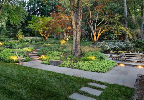 Pruning for a Beautiful and Healthy Outdoor Space