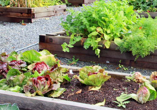 A Guide to Regular Weeding, Pruning, and Fertilizing for a Beautiful Garden