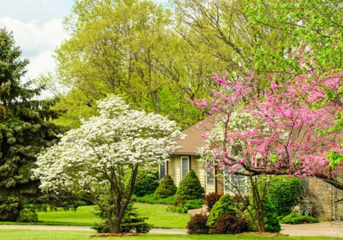 Replanting Options After Tree Removal: How to Maintain Your Outdoor Space